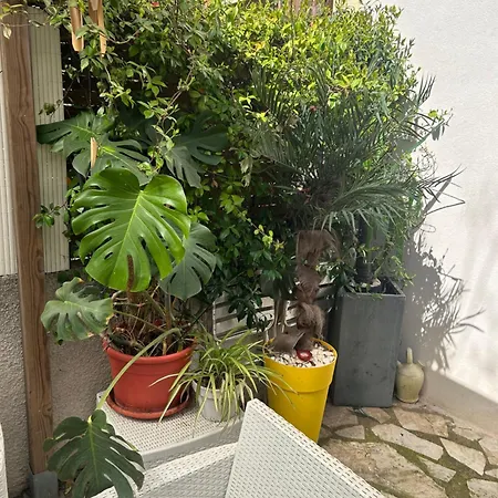 Montana Sur Agde, Avec Option Jacuzzi Agde
