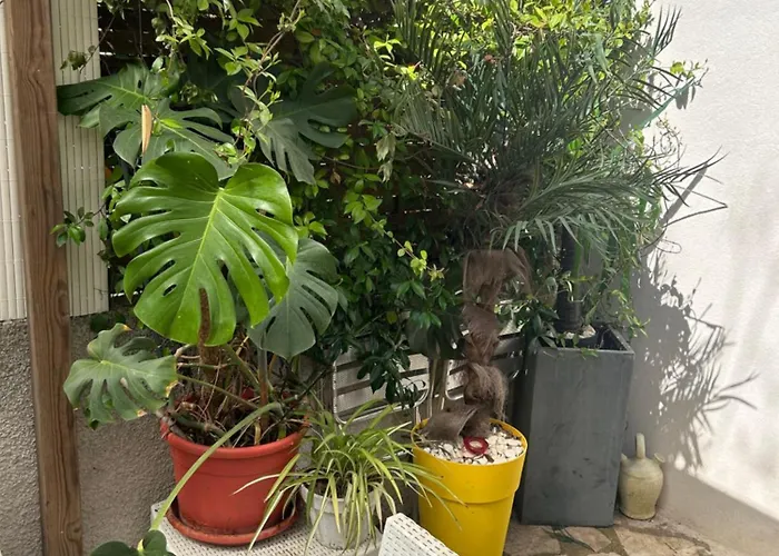 Montana Sur Agde, Avec Option Jacuzzi Agde